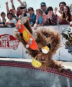 Protective Equipment 187 Wrist Guards