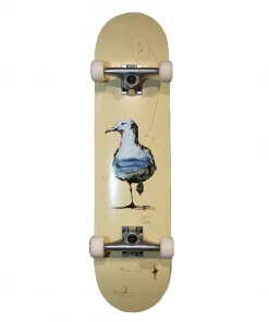 MOMENTUM X JAMES GIDDY - ARTIST SERIES "SEAGULL" COMPLETE SKATEBOARD Skateboarding