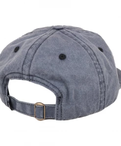 Trucks PASS~PORT - ARCHED EMBROIDERY 6 PANEL CAP: BLUE