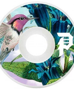 PRIMITIVE - HUMMING TEAM SKATEBOARD WHEELS 53MM Skateboarding