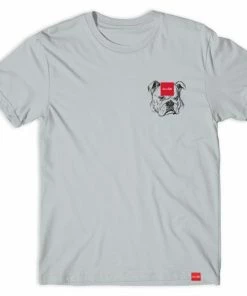 CHOCOLATE - BIG DOG S/S TEE: SILVER Trucks