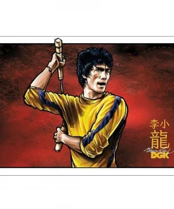 DGK - BRUCE LEE TECHNIQUE STICKER 4.5" X 3"