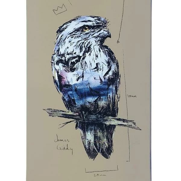 MOMENTUM - JAMES GIDDY ART SERIES SKATE DECK: OWL Skateboarding 2 MOMENTUM - JAMES GIDDY ART SERIES SKATE DECK: OWL Skateboarding