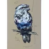 Skateboarding MOMENTUM - ART SERIES. JAMES GIDDY OWL SKATE DECK: 8.125"