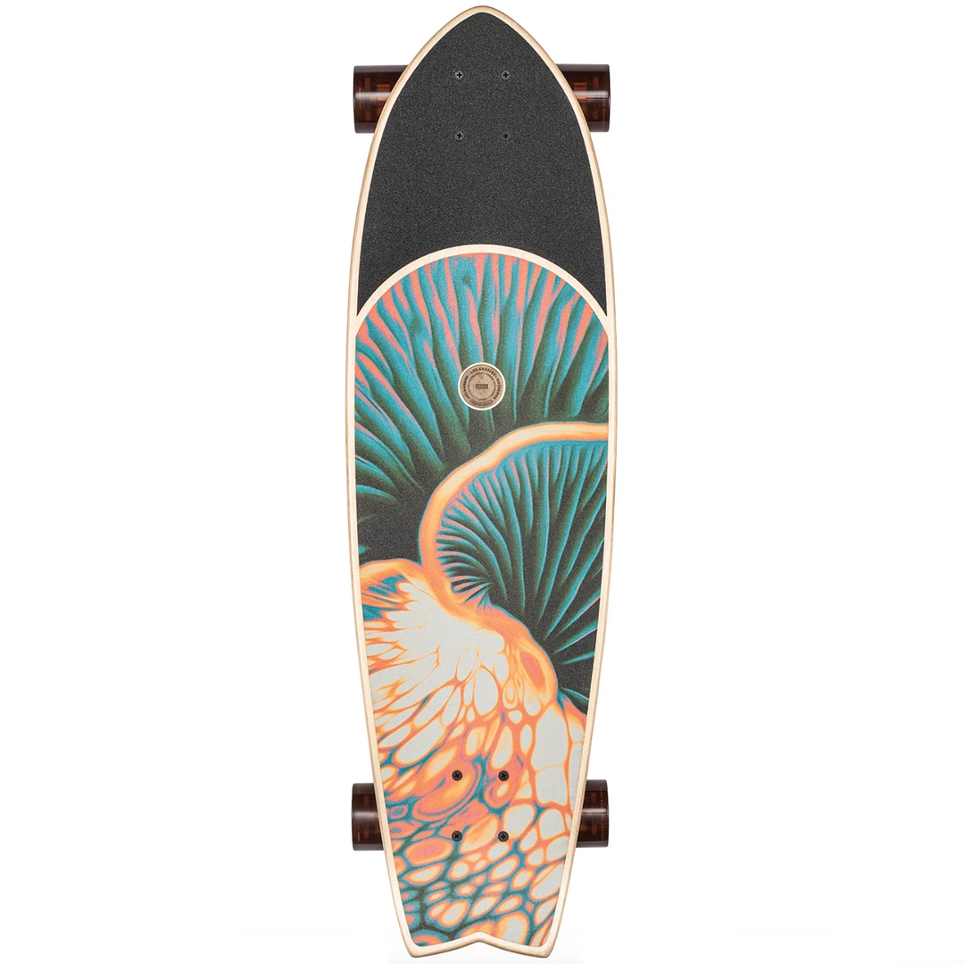 Skateboarding GLOBE - CHROMATIC BIO MORPH CRUISER SKATEBOARD. 33.0" 2 Skateboarding GLOBE - CHROMATIC BIO MORPH CRUISER SKATEBOARD. 33.0"