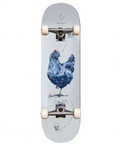 MOMENTUM X GIDDY - ARTIST SERIES COMPLETE SKATEBOARD: 8"