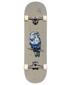 MOMENTUM - ART SERIES GIDDY COMPLETE SKATEBOARD: 7.75" Skateboarding