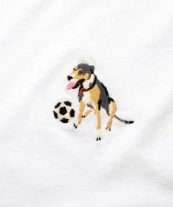 Trucks PASS~PORT - BOBBY EMBROIDERY SHORT SLEEVE TEE: WHITE