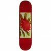 Skateboarding PASS~PORT - TIN FLORAL SERIES WARATAH SKATEBOARD DECK. 8.0"