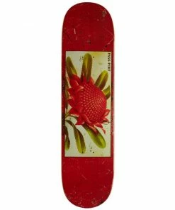 Skateboarding PASS~PORT - TIN FLORAL SERIES WARATAH SKATEBOARD DECK. 8.0"
