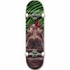 HOLIDAY - HIPPO COMPLETE SKATEBOARD: 8.0"