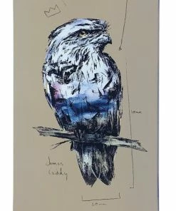 Skateboarding MOMENTUM - JAMES GIDDY ART SERIES. OWL DECK